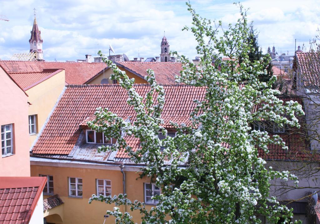 Old Town Apartment Antokolskio วิลนีอุส ภายนอก รูปภาพ